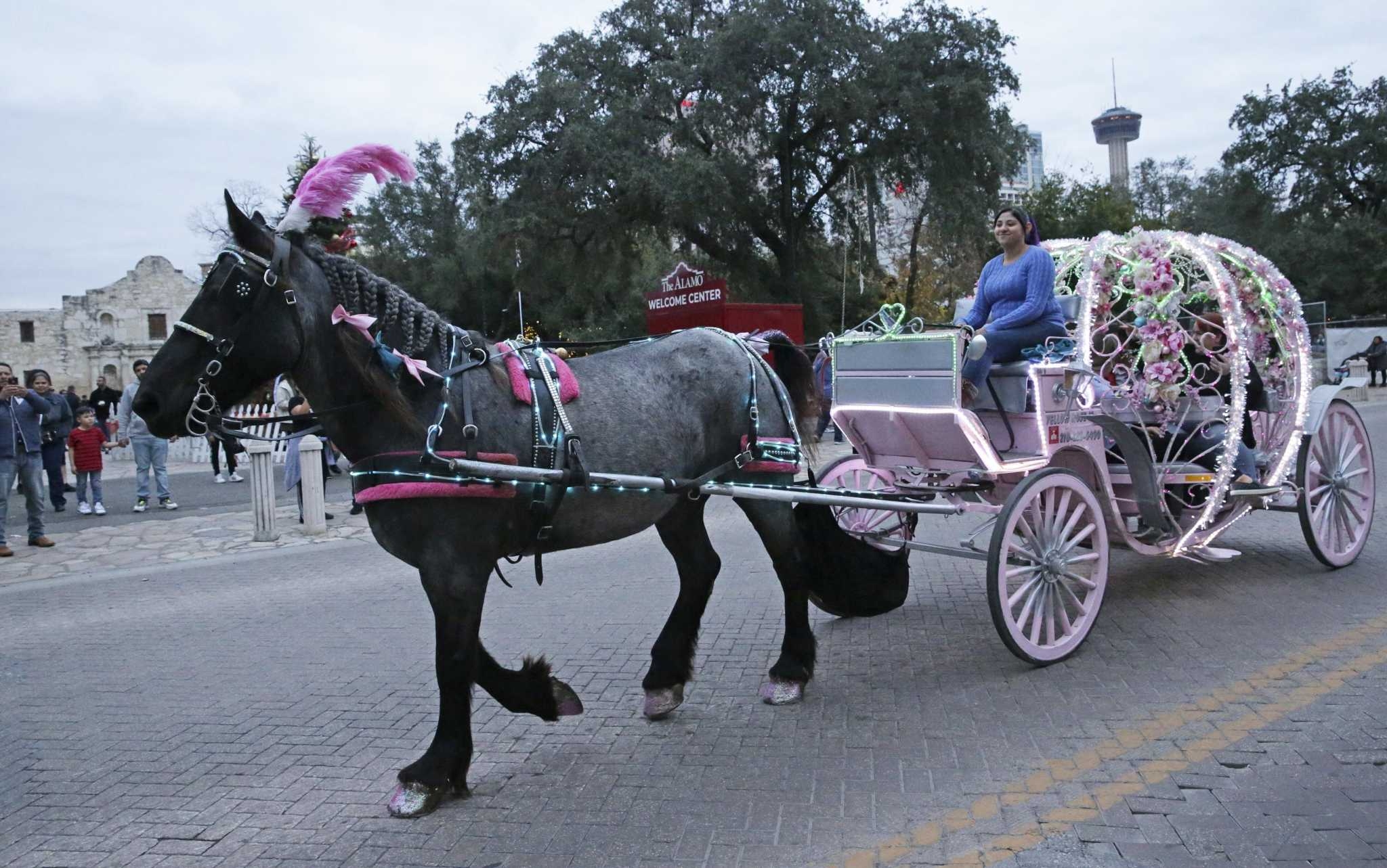 San Antonio Debates Future Of Horse drawn Carriages