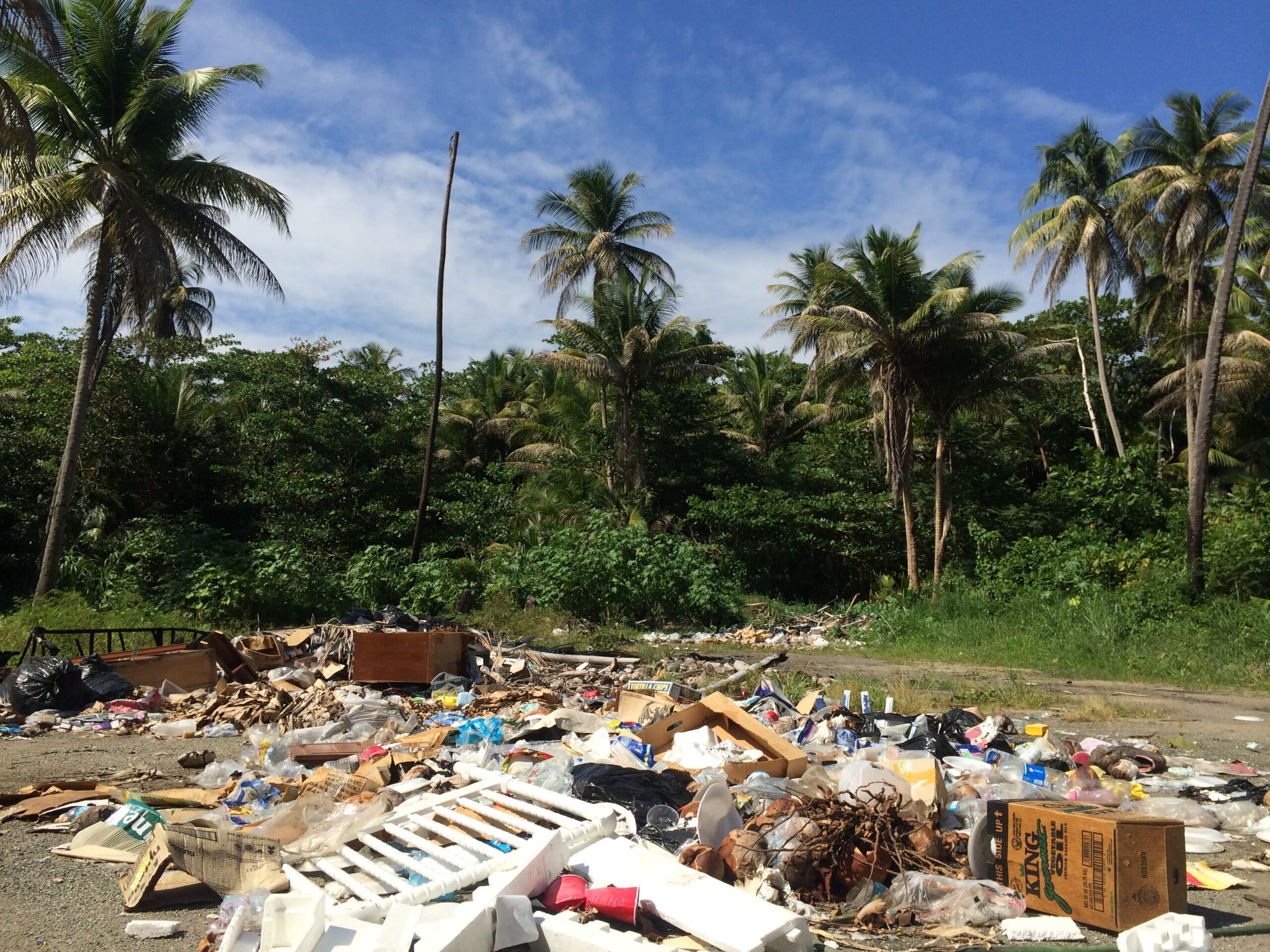 Sato Project Saves Pups From Dead Dog Beach CNN