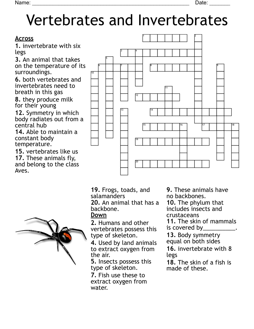 Science Vocabulary Crossword Puzzle WordMint