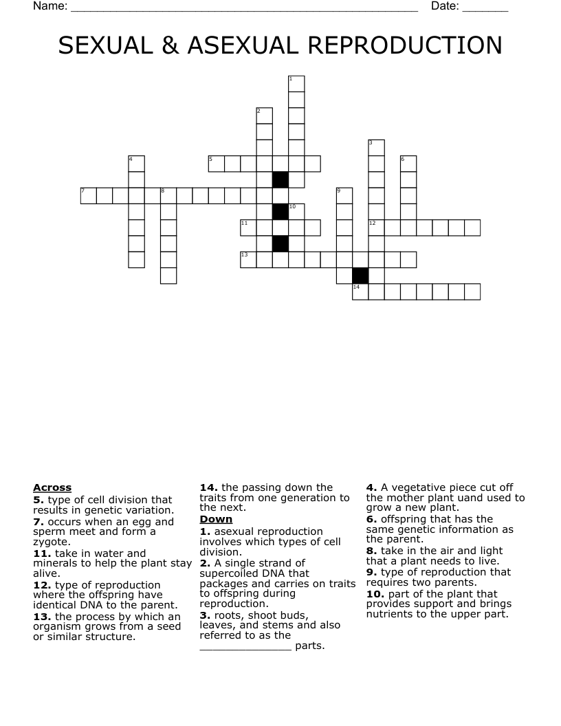 SEXUAL ASEXUAL REPRODUCTION Crossword WordMint
