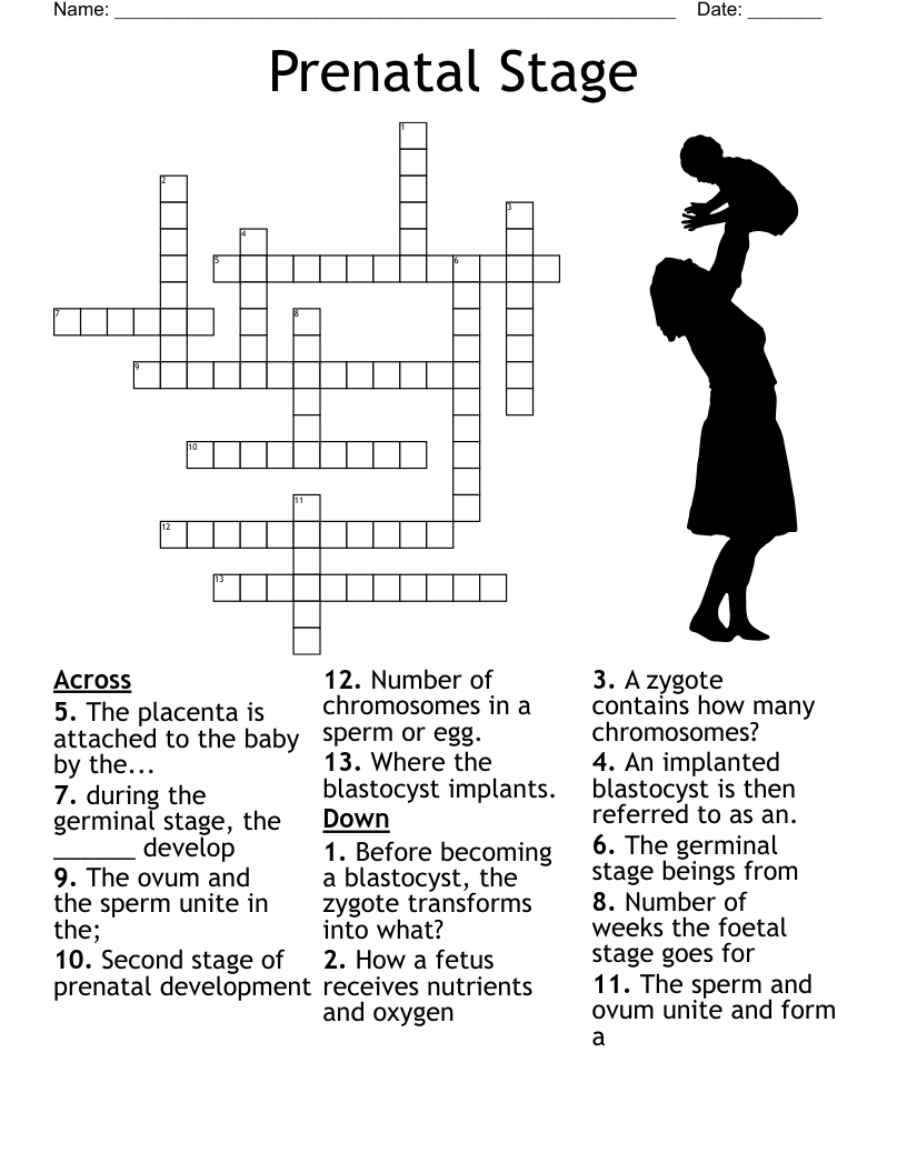 Shock Crossword WordMint
