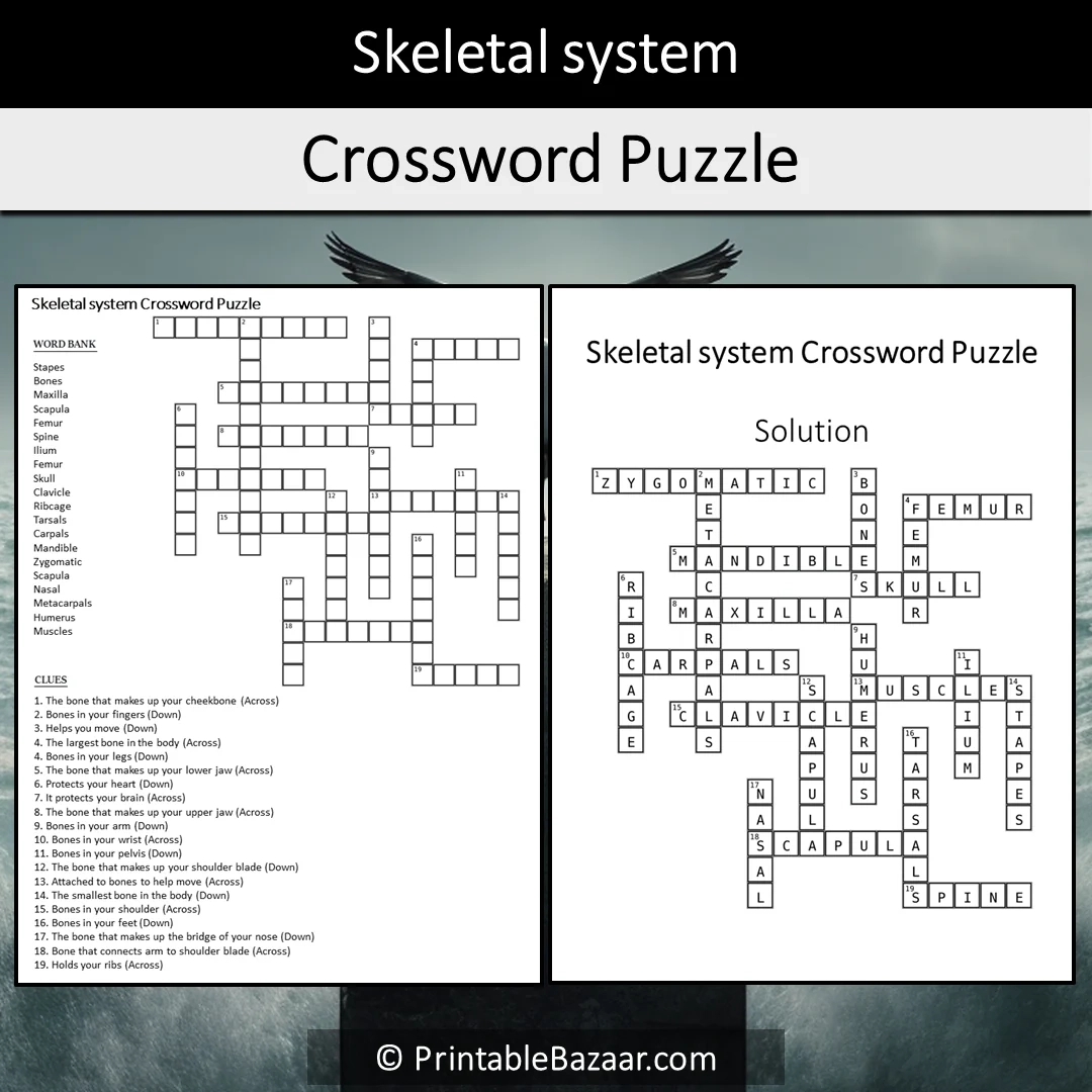 Skeletal System Crossword Puzzle Worksheet Activity Printable PDF PrintableBazaar