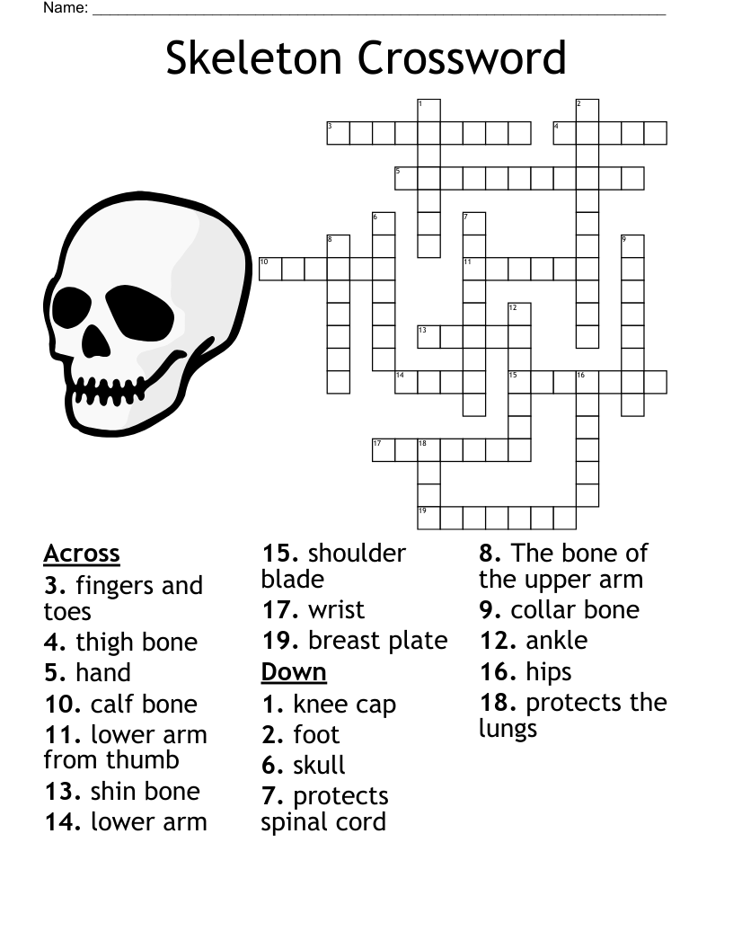 ankle bone crossword clue 5 letters ankle bone crossword clue 5 letters