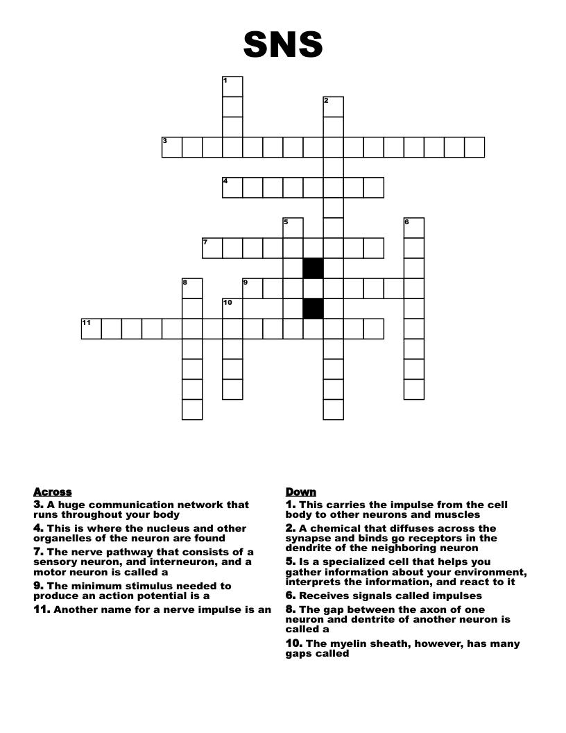 SNS Crossword WordMint