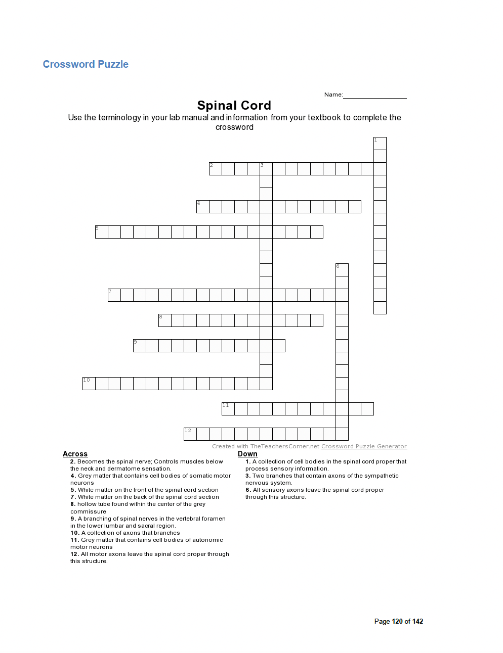 nerve network crossword