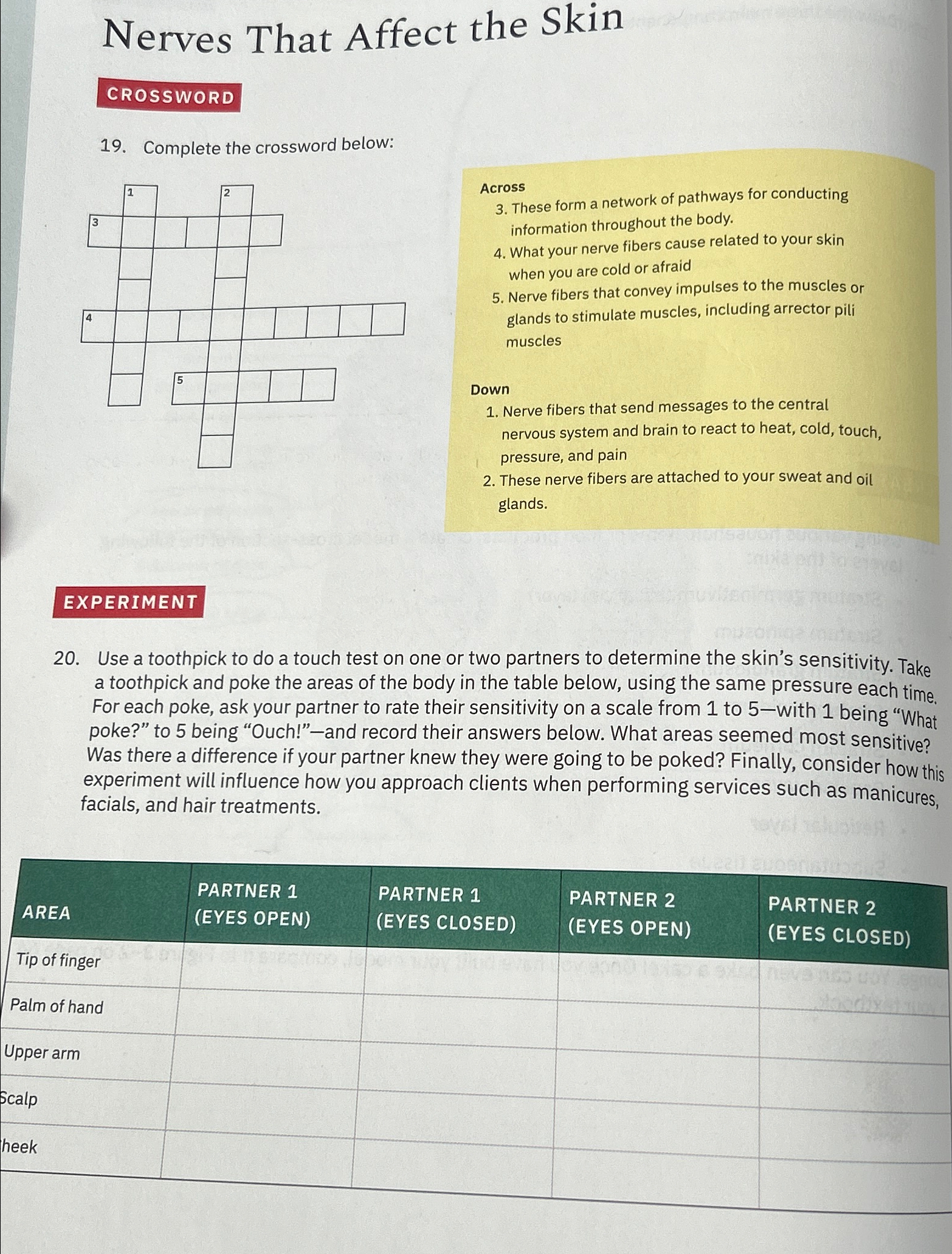 Solved Nerves That Affect The SkinCROSSWORD19 Complete The Chegg