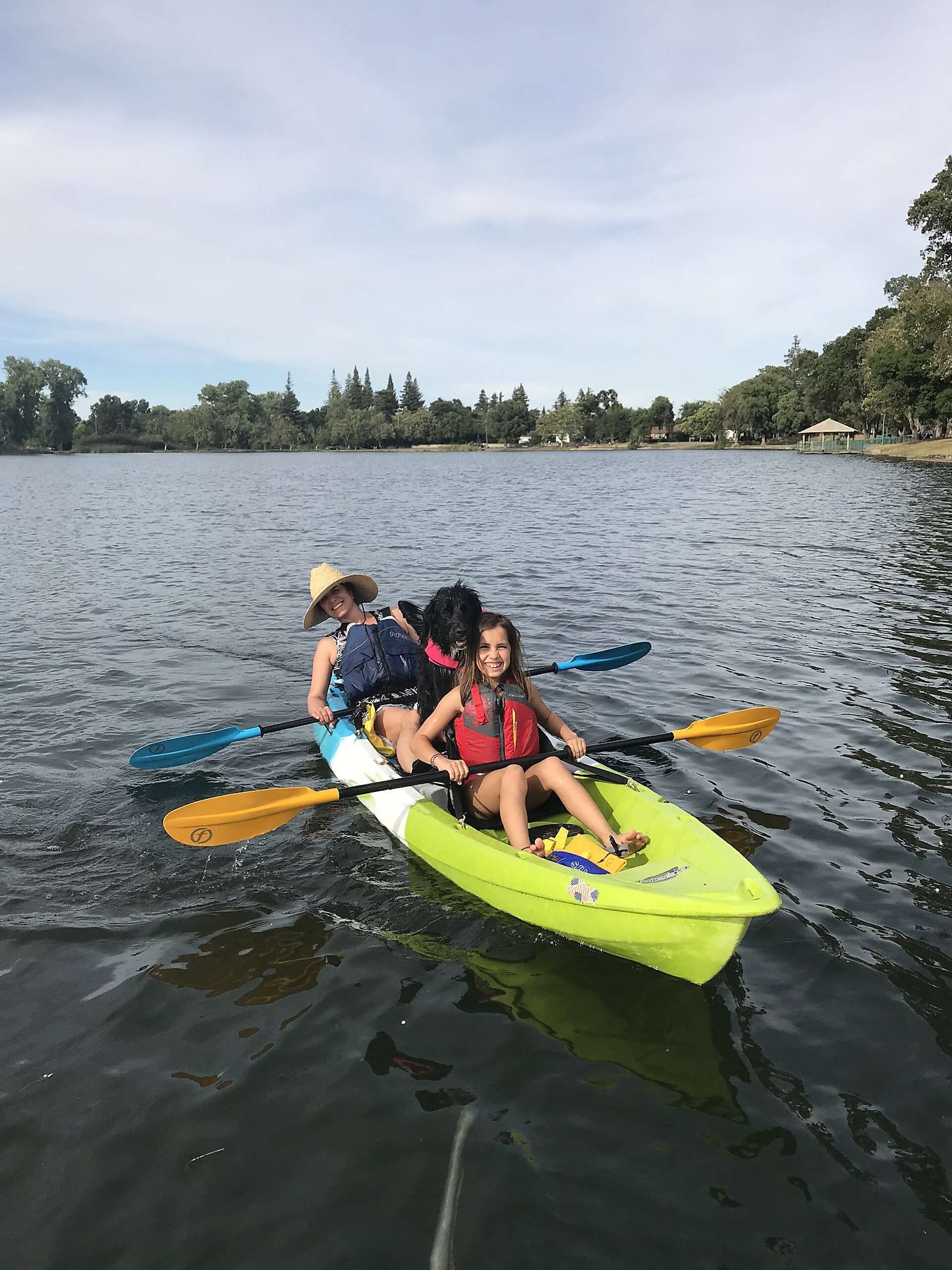 Sponsored Content A Science Museum Lake Zoo Offer Family Fun In Lodi
