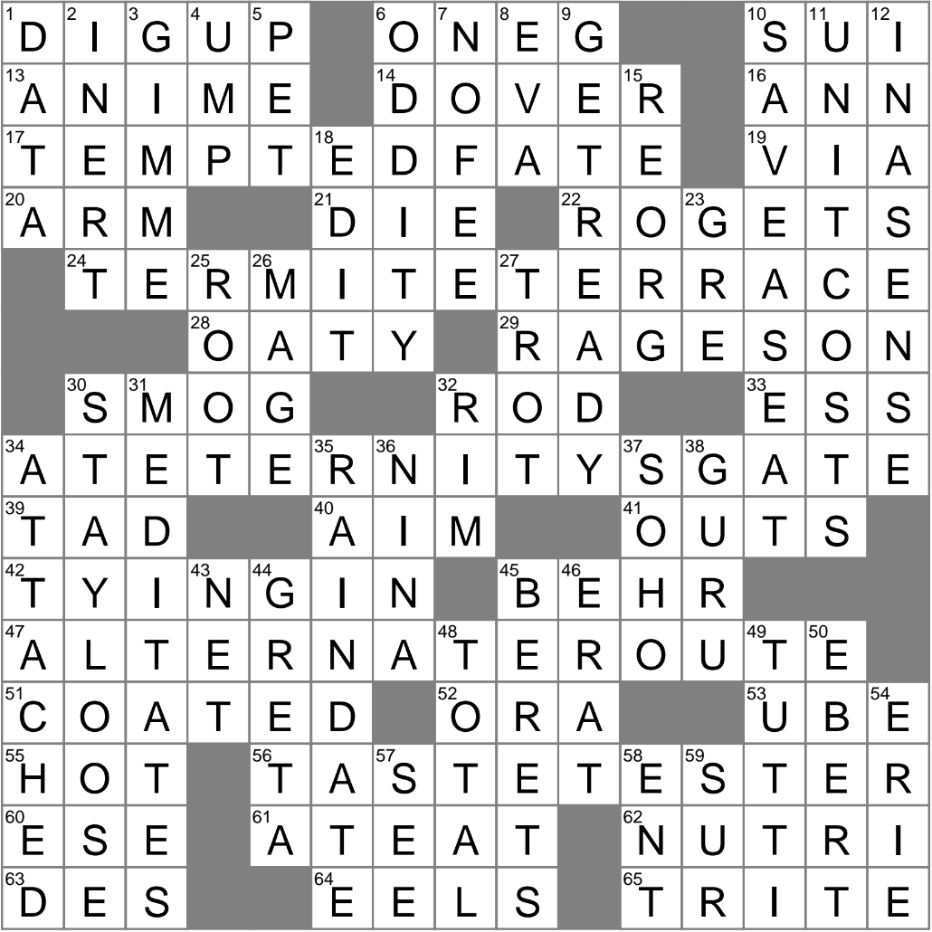 beginner crossword clue