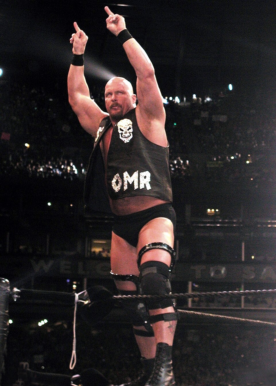 Stunner professional Wrestling Wikipedia