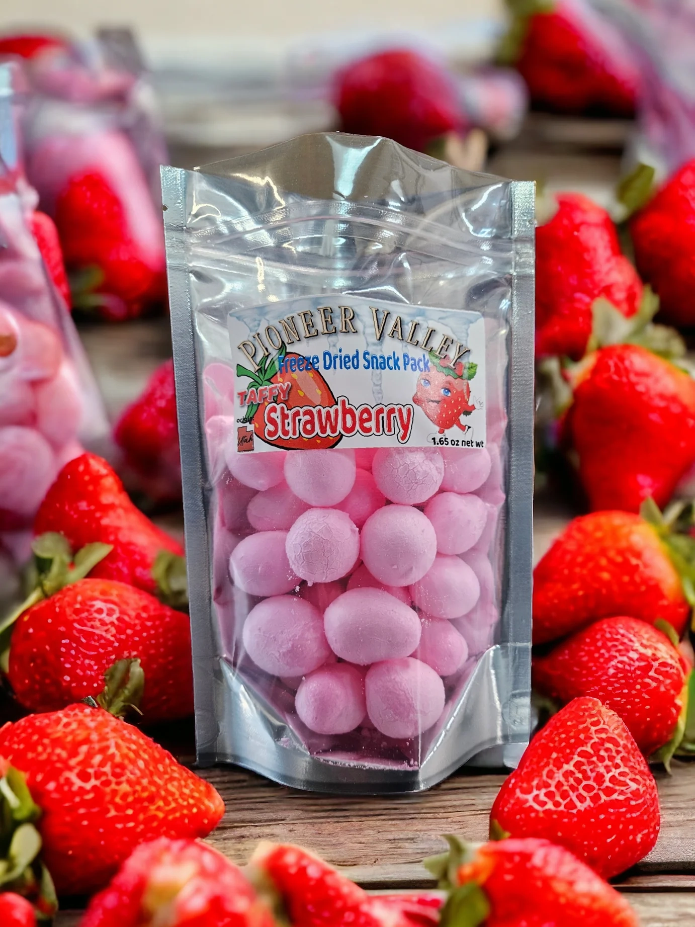 pioneers of freeze-drying food