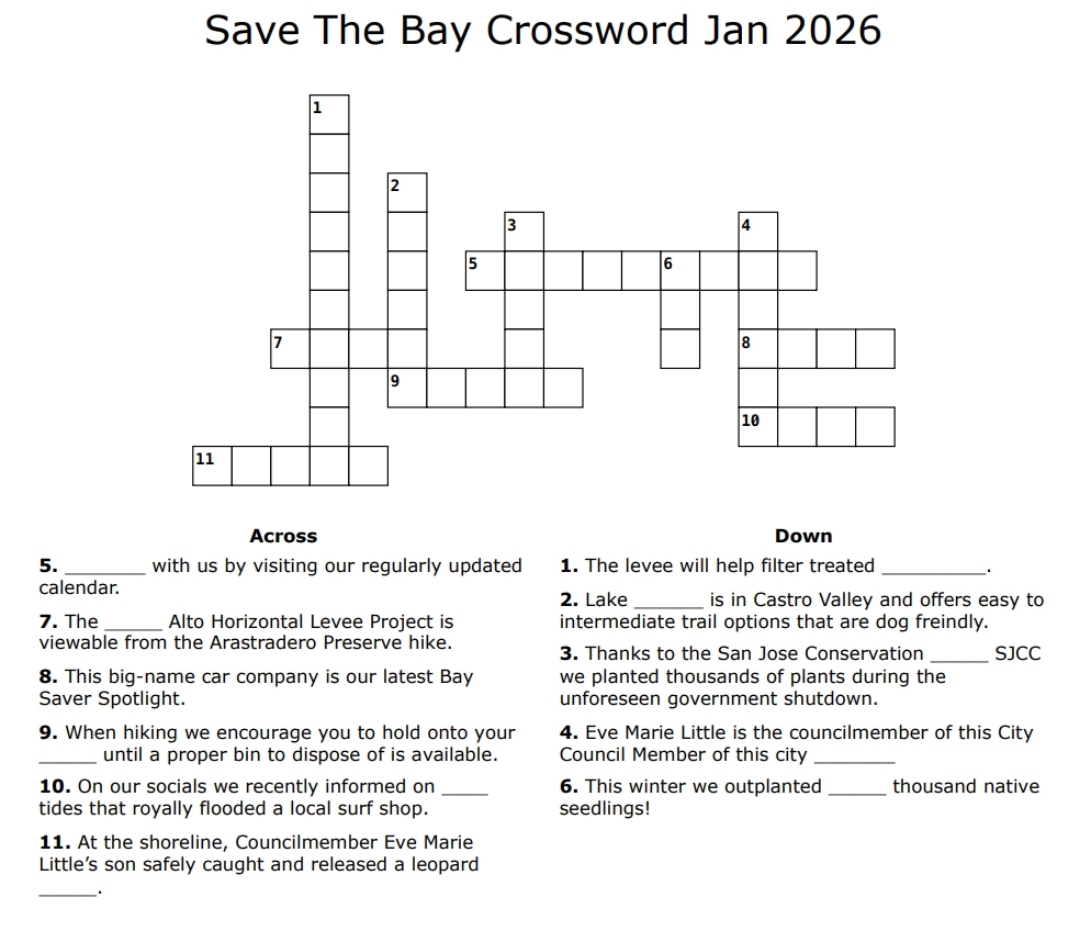 Test Your Knowledge New Year New Puzzles Save The Bay Test Your Knowledge New Year New Puzzles Save The Bay