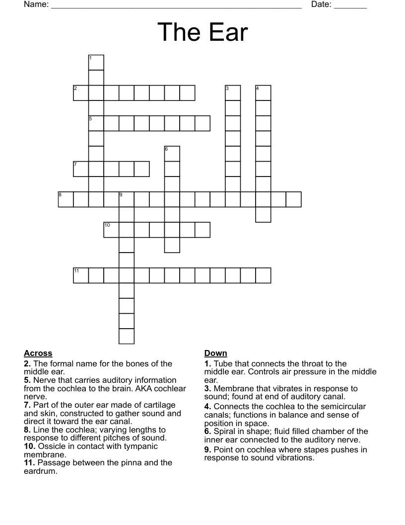 The Ear Crossword WordMint
