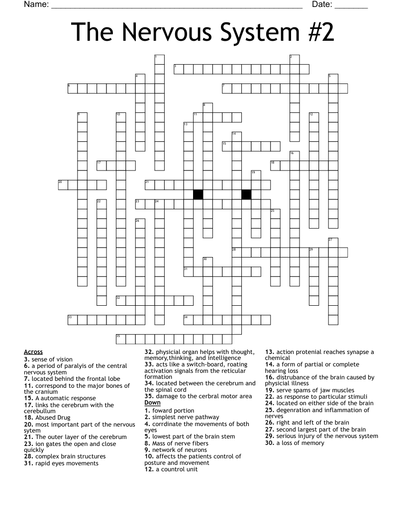 The Nervous System 2 Crossword WordMint