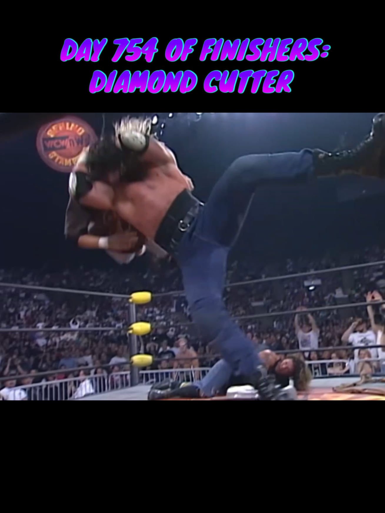 The Rock s People s Elbow Day 95 Finishing Move In WWE Wrestling TikTok The Rock s People s Elbow Day 95 Finishing Move In WWE Wrestling TikTok