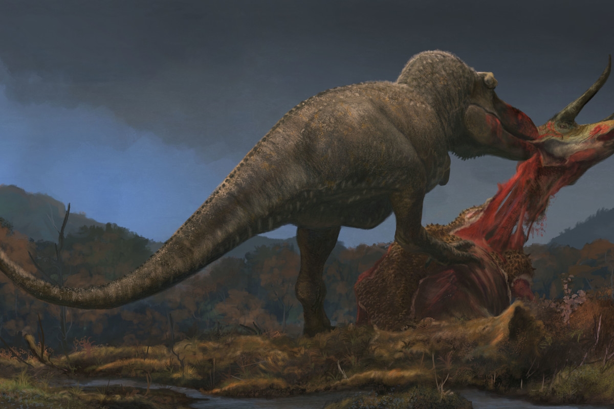 The T Rex Dined On Huge Plant Eating Dinosaurs And Each Other Discover Magazine