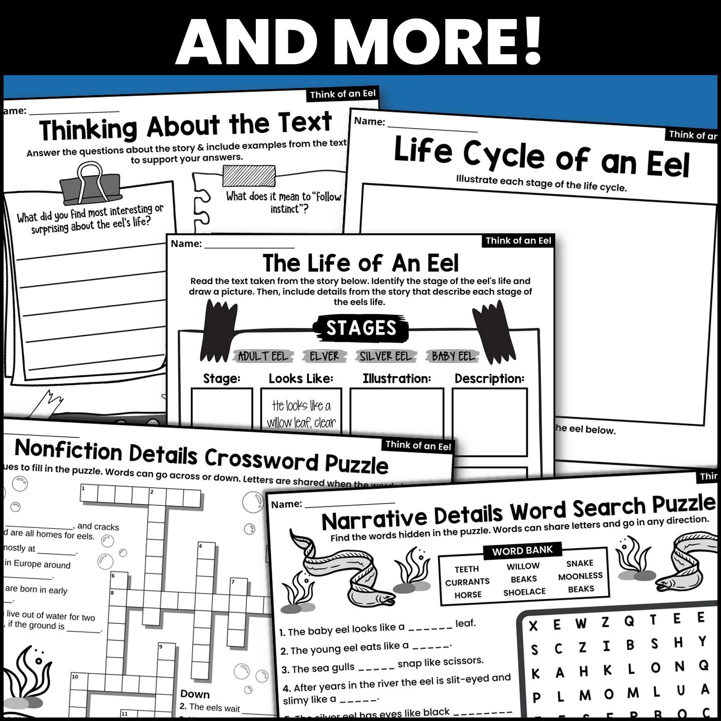 Think Of An Eel Interactive Read aloud Activities And Book Companion Etsy Think Of An Eel Interactive Read aloud Activities And Book Companion Etsy