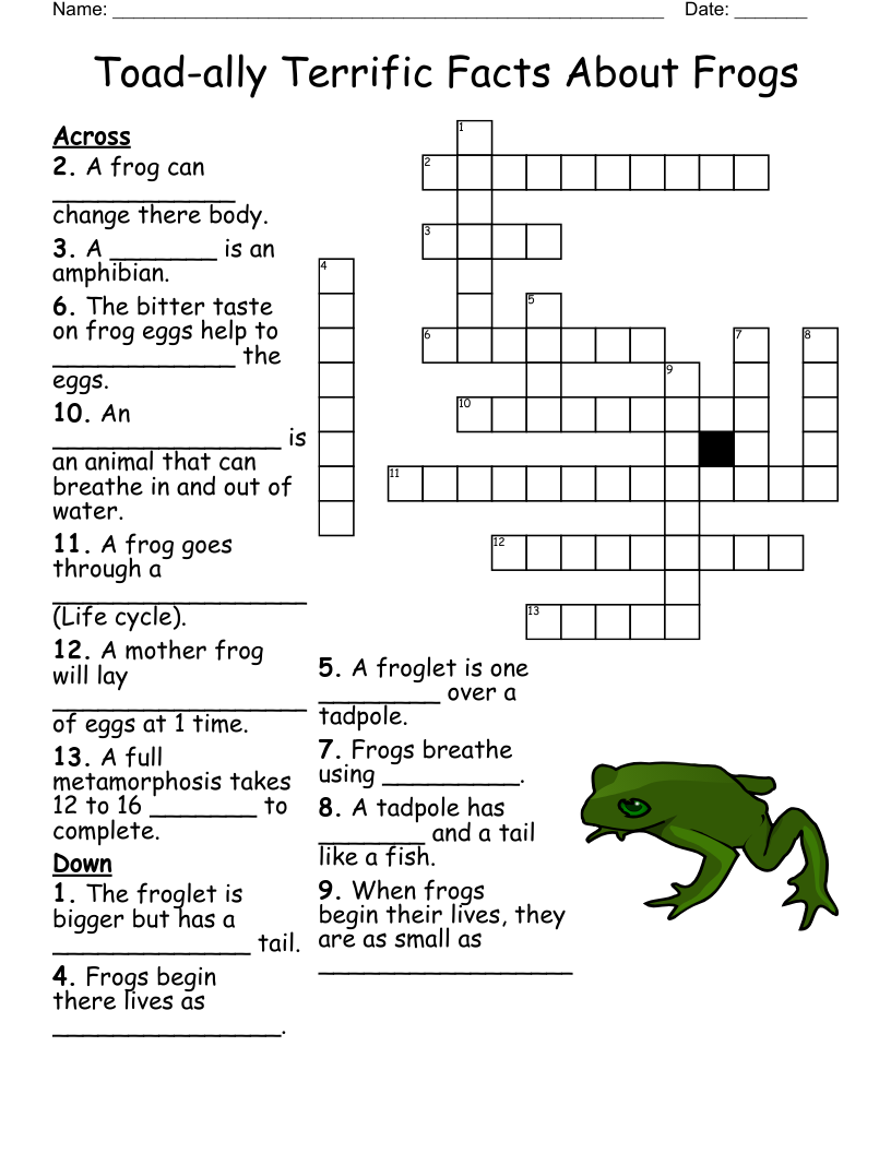 Toad ally Terrific Facts About Frogs Crossword WordMint