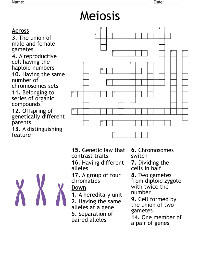 offspring crossword clue
