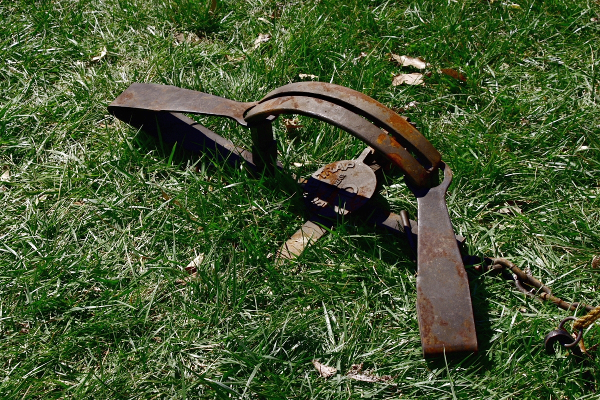 what is trapping slang