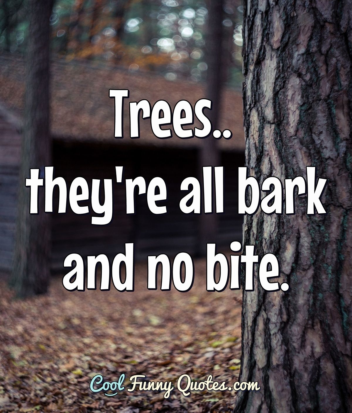 Trees They re All Bark And No Bite 