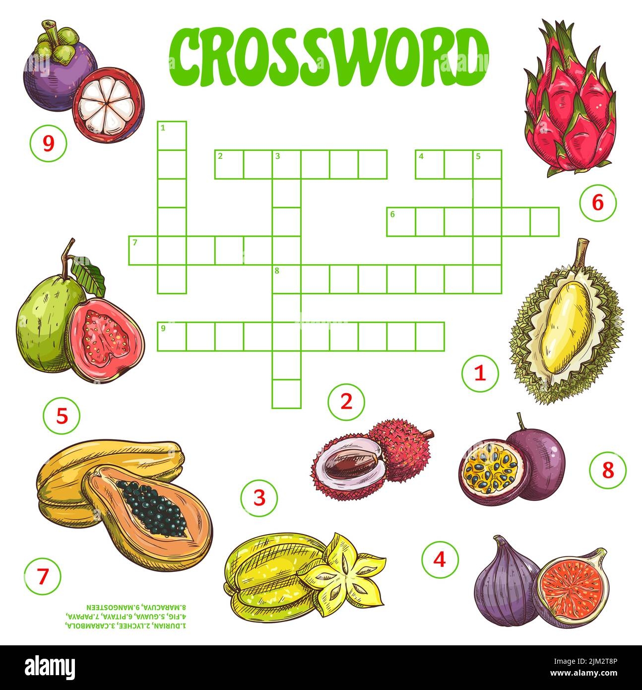 Tropical Raw Fruits Crossword Grid Worksheet Find A Word Vector Quiz Game Crossword Puzzle With Names Of Exotic Berries Fill In Squares Riddle With Stock Vector Image Art Alamy
