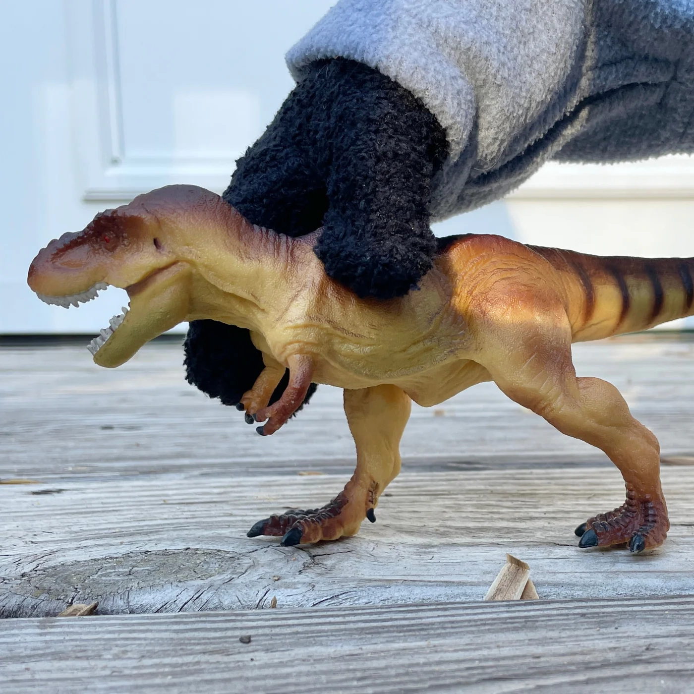 Tyrannosaurus Rex Toy Realistic T Rex Figure By Safari Ltd Safari Ltd 