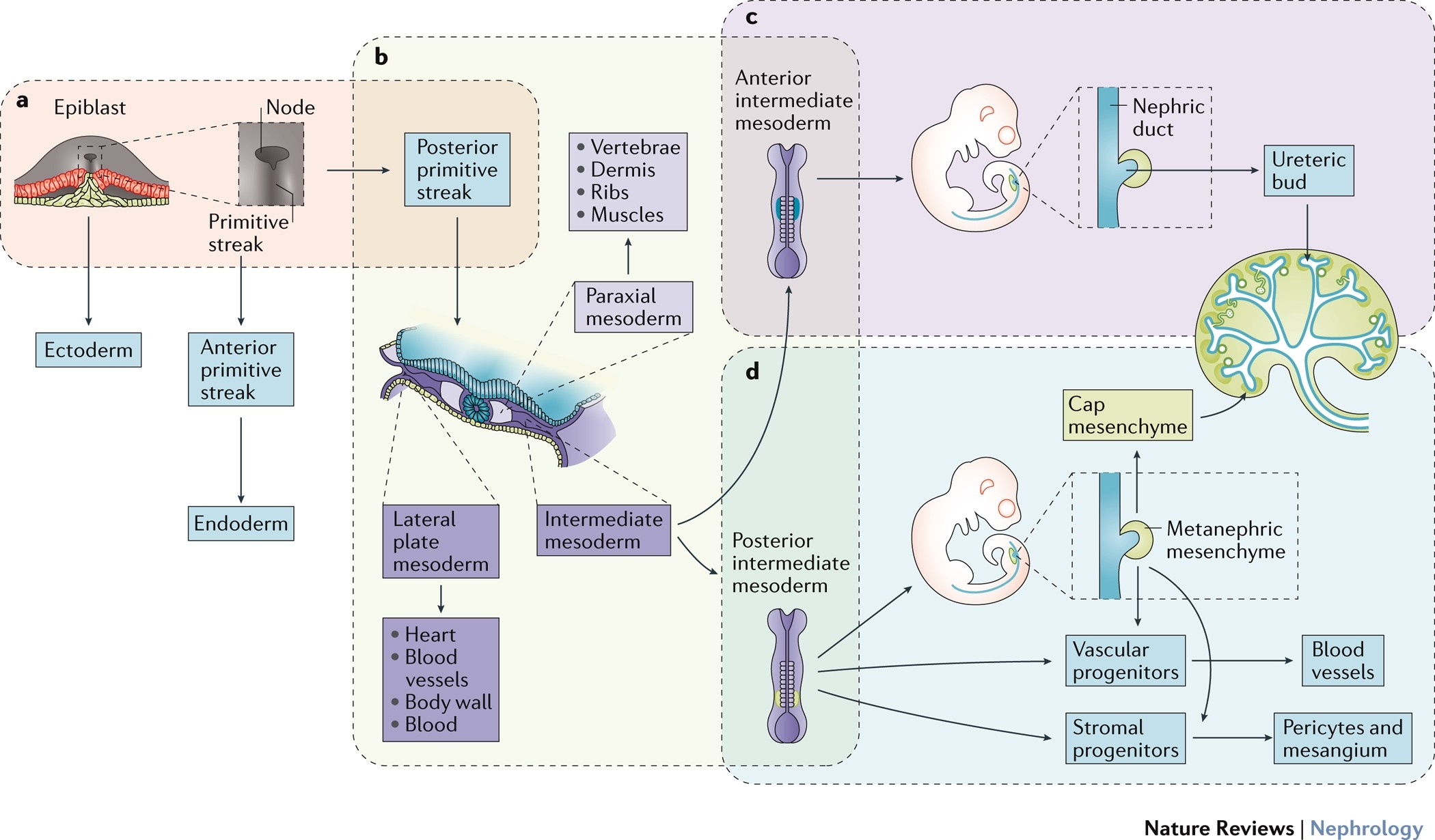 events akin to streaks