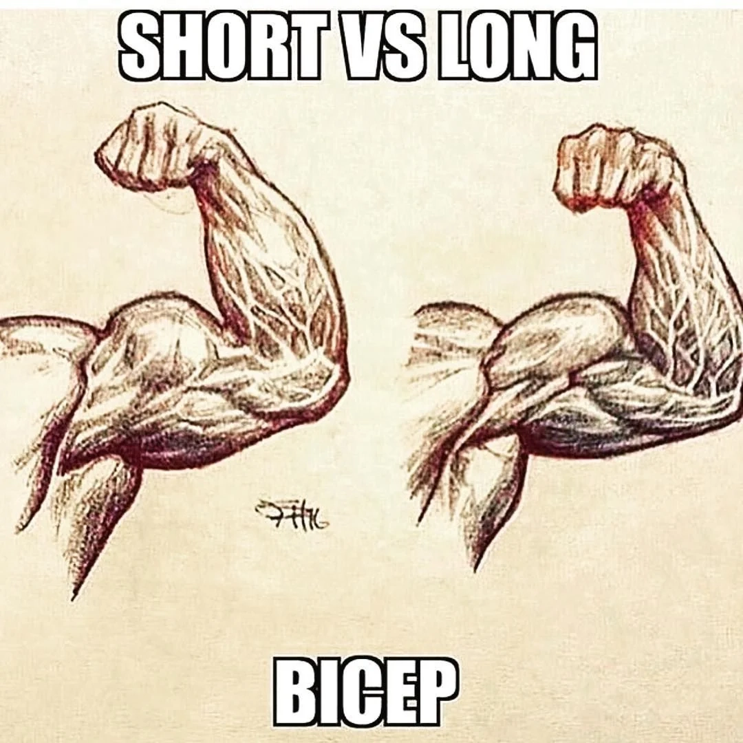 Unpopular Opinion I Hate Having Short Biceps That Peak R bodybuilding