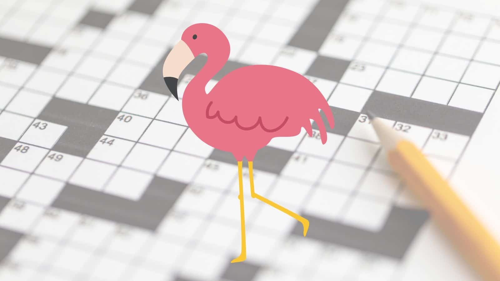 marsh bird crossword clue