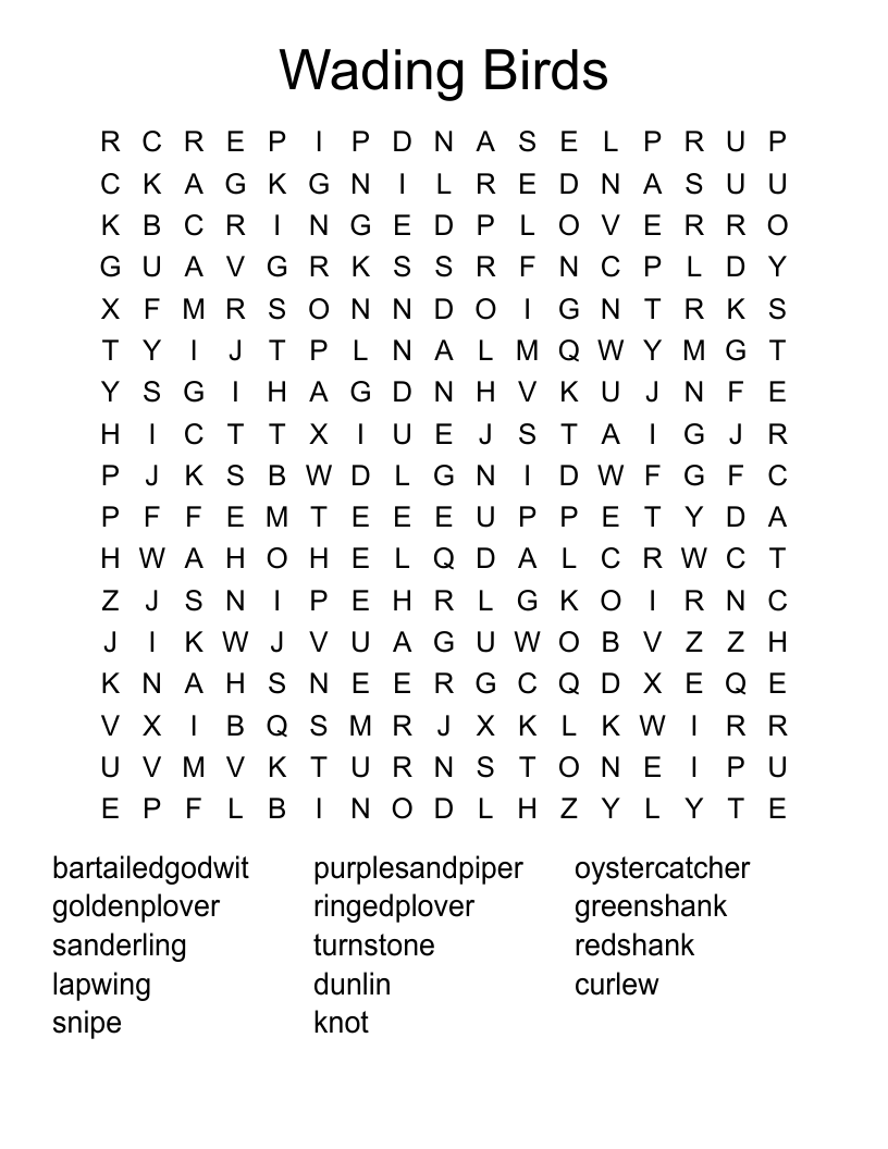 Wading Birds Word Search WordMint Wading Birds Word Search WordMint