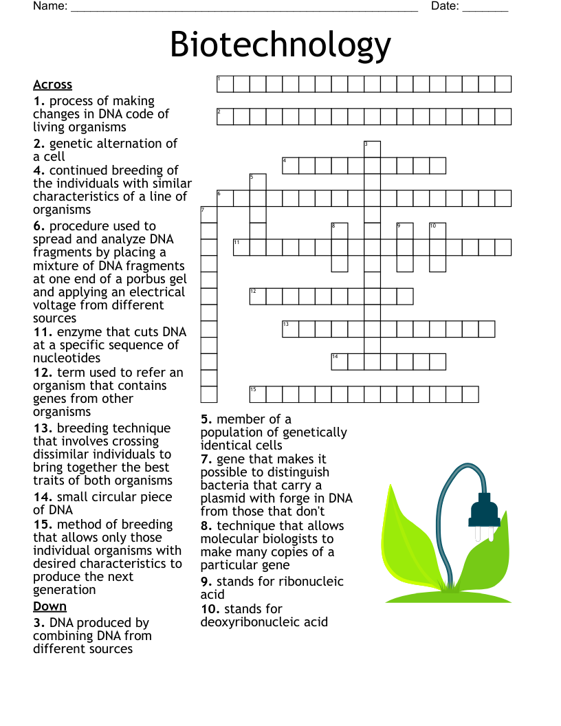 We re All In This Together Crossword WordMint