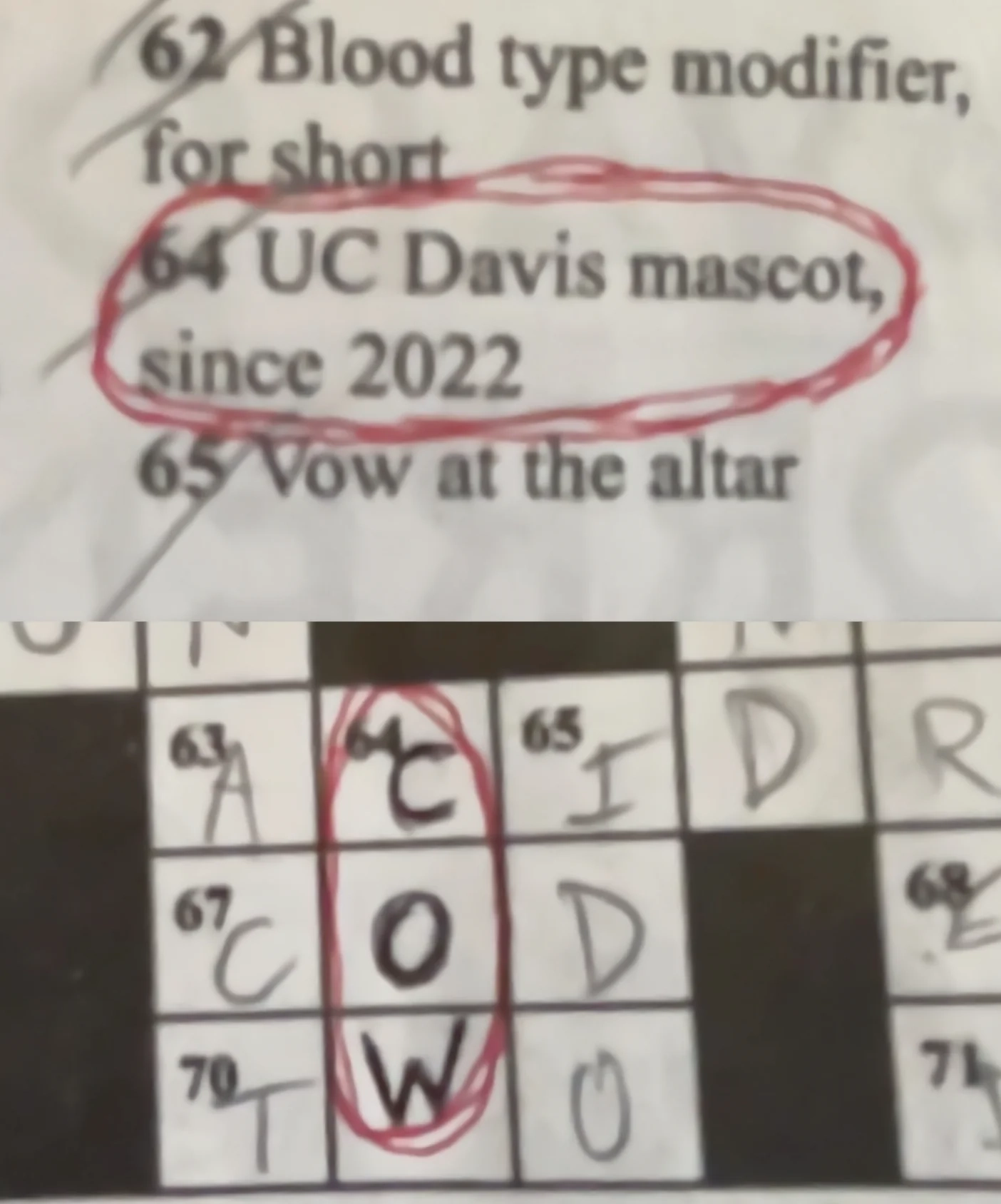 Well Looks Like It s Official Folks Can t Argue With The Crossword R UCDavis