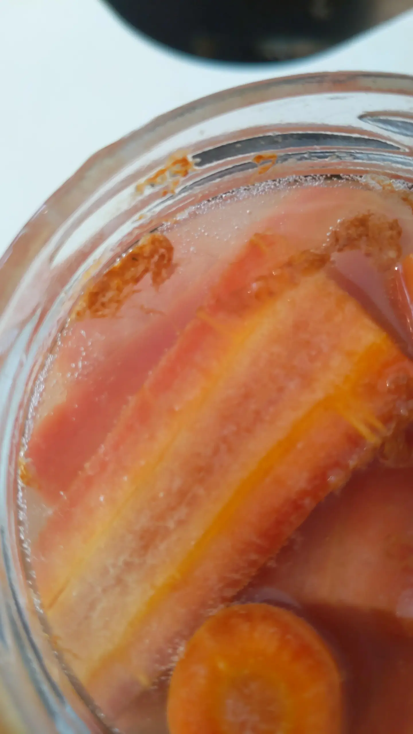 What Are The Stringy Orange Bits R fermentation