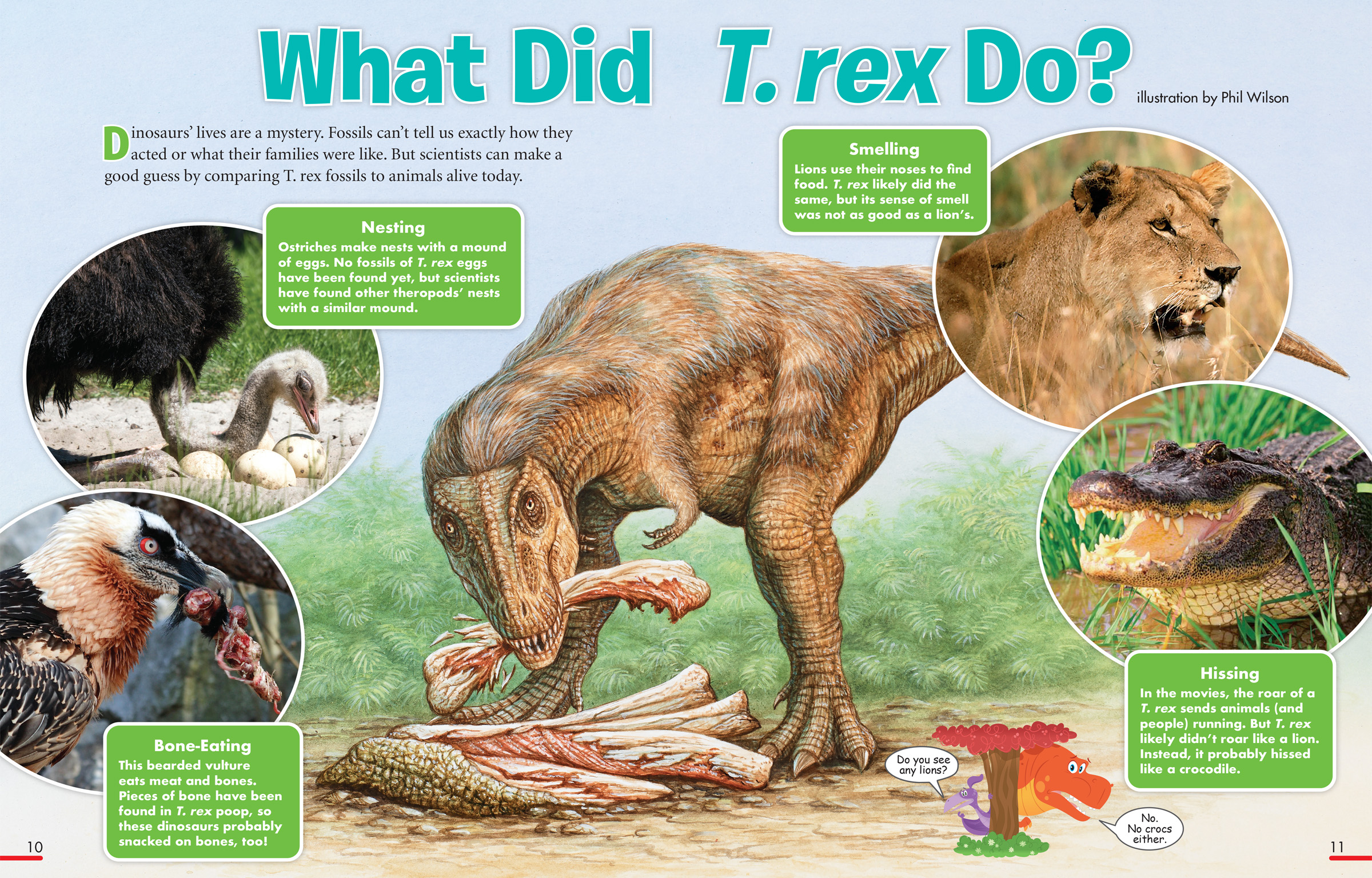 What Did T Rex Do NWF Ranger Rick