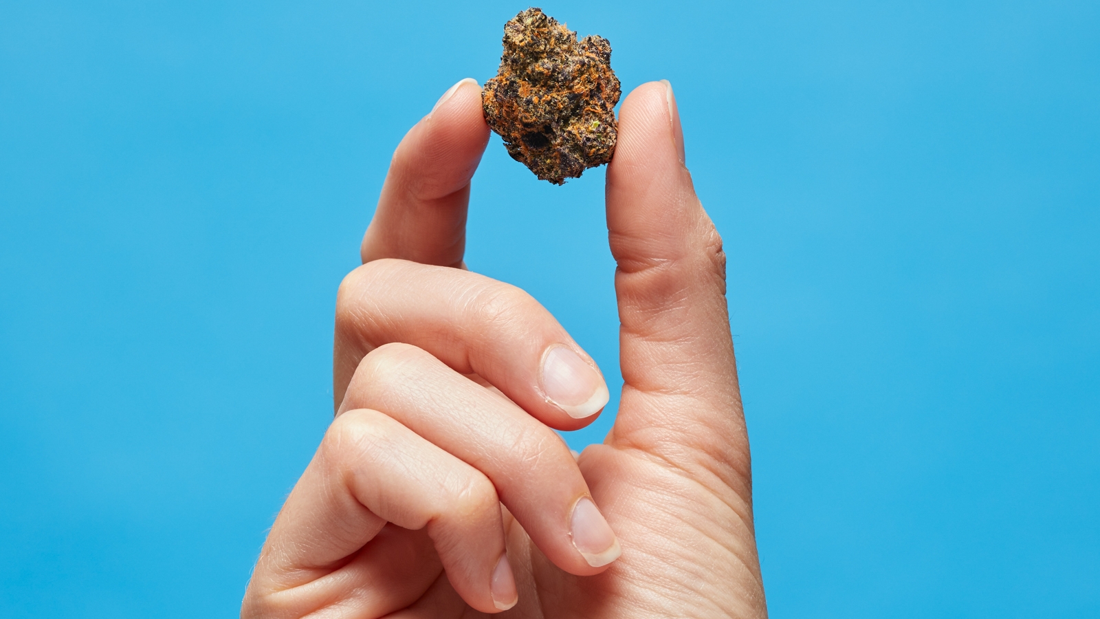 What Does OG Mean In Weed What Does OG Mean In Weed