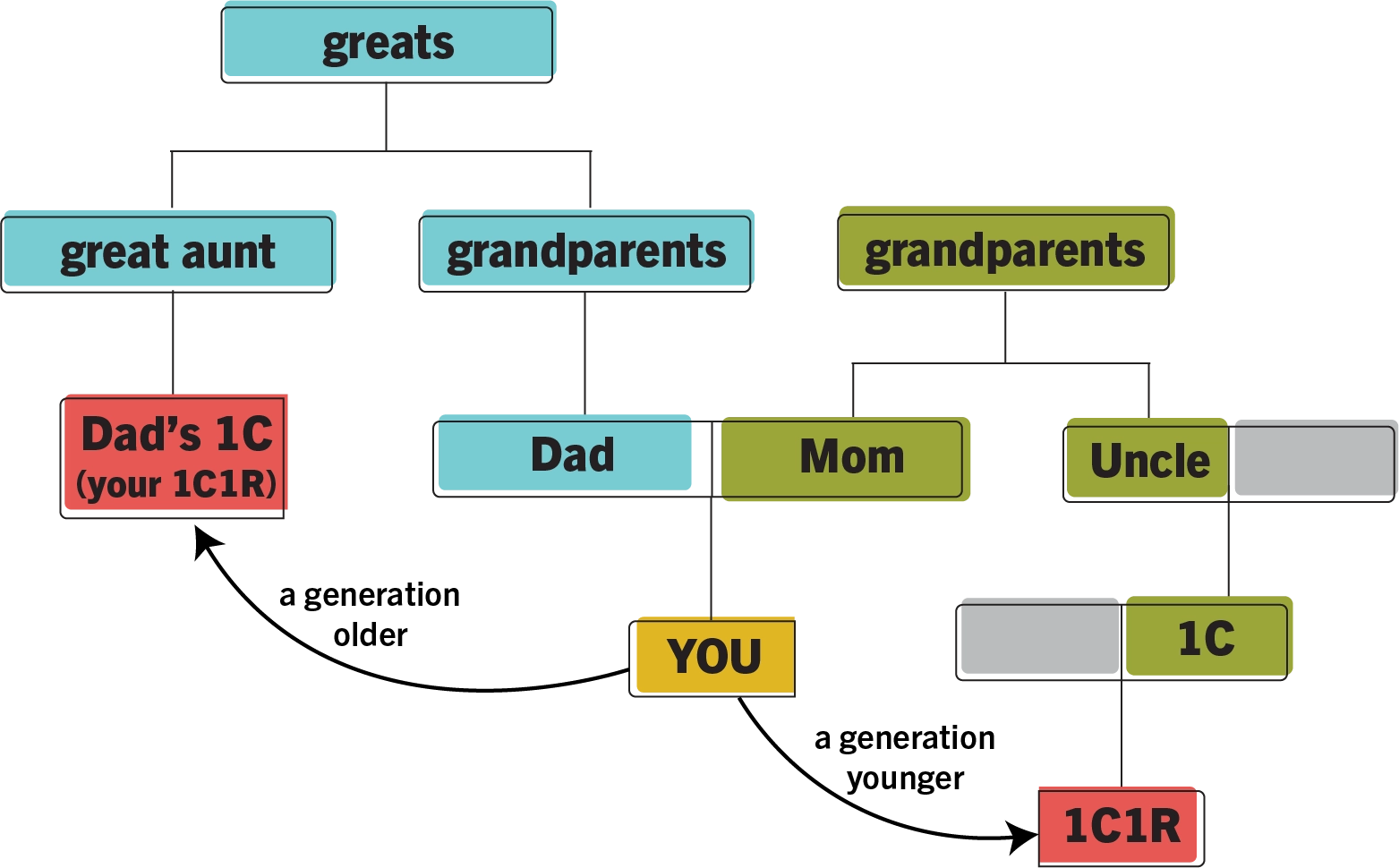 What Is A First Cousin Once Removed Cousin Once Removed Meaning Your DNA Guide Diahan Southard