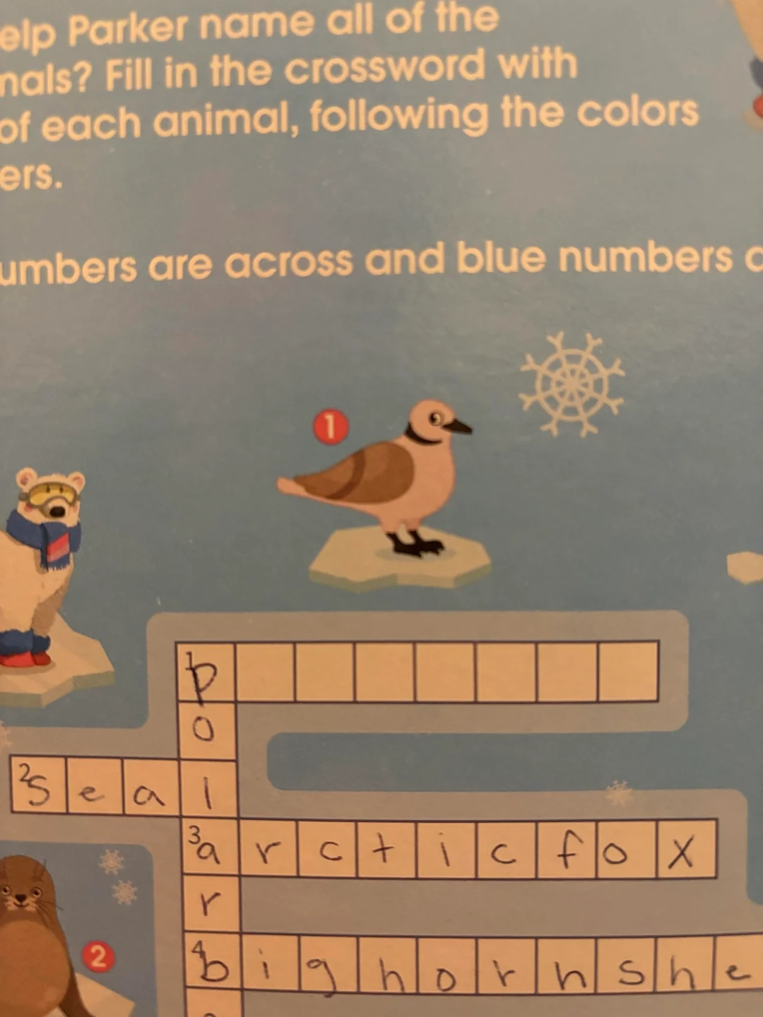 What Is This Bird R crosswords What Is This Bird R crosswords