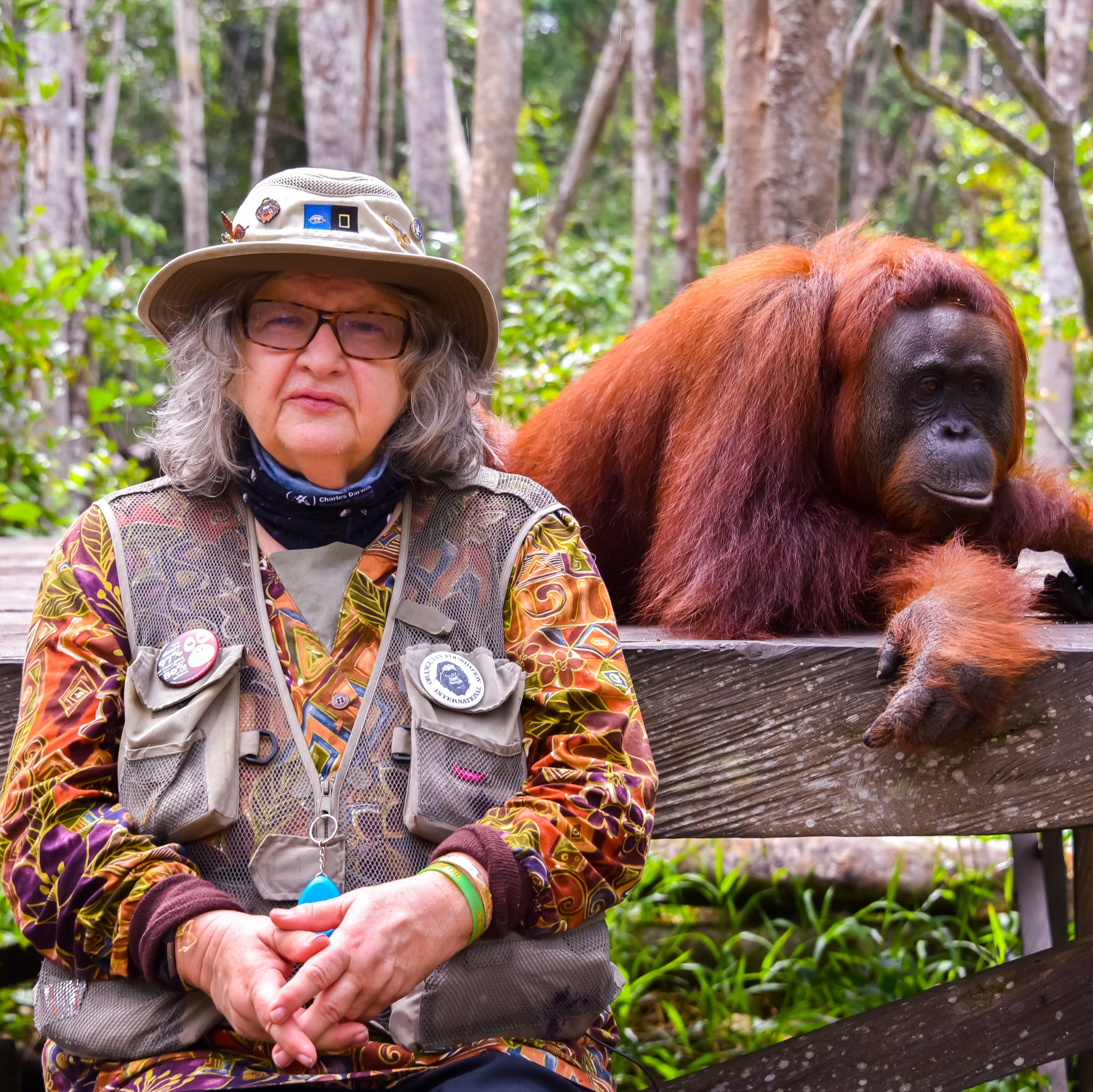 What s On TV Wednesday She Walks With Apes And Fauda The New York Times What s On TV Wednesday She Walks With Apes And Fauda The New York Times