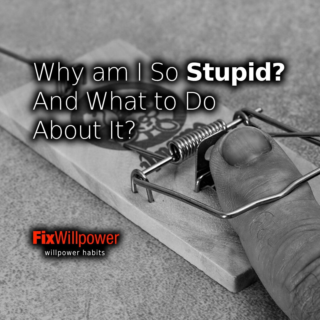 Why Am I So Stupid How To Fix Stupidity FixWillpower Why Am I So Stupid How To Fix Stupidity FixWillpower