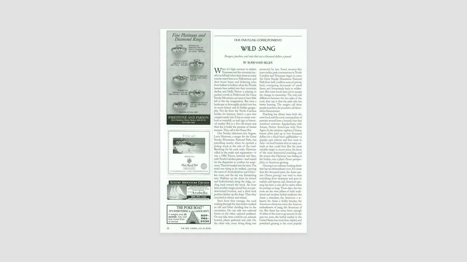 Wild Sang The New Yorker Wild Sang The New Yorker