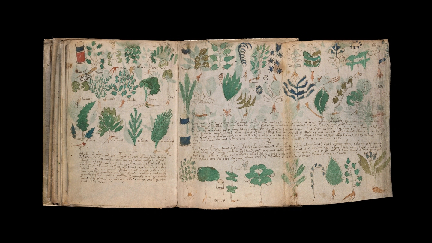 Will The Mystery Of The Voynich Manuscript Ever Be Solved The Atlantic